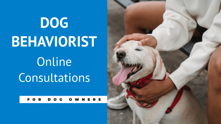 A Dog Behaviorist does Behavior Consultations for Dog Owners