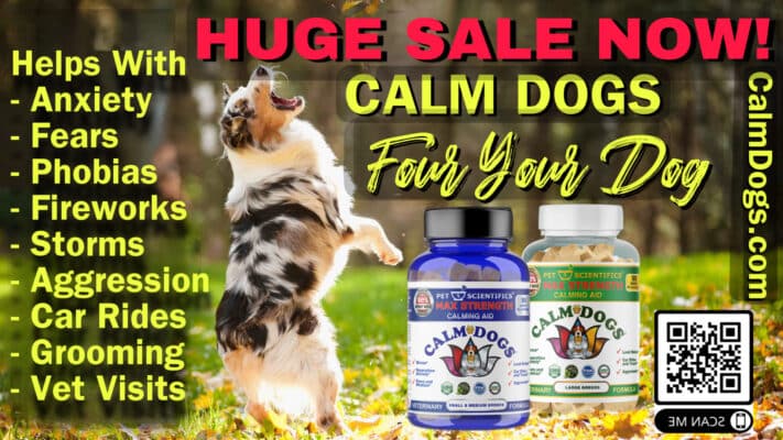 Counter-conditioning for Dogs