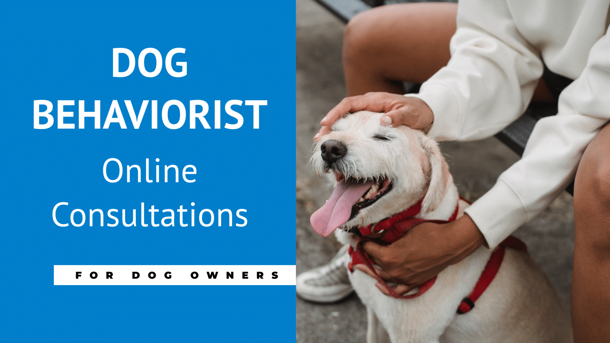 Dog Behaviourist London- DogBehaviorist.com