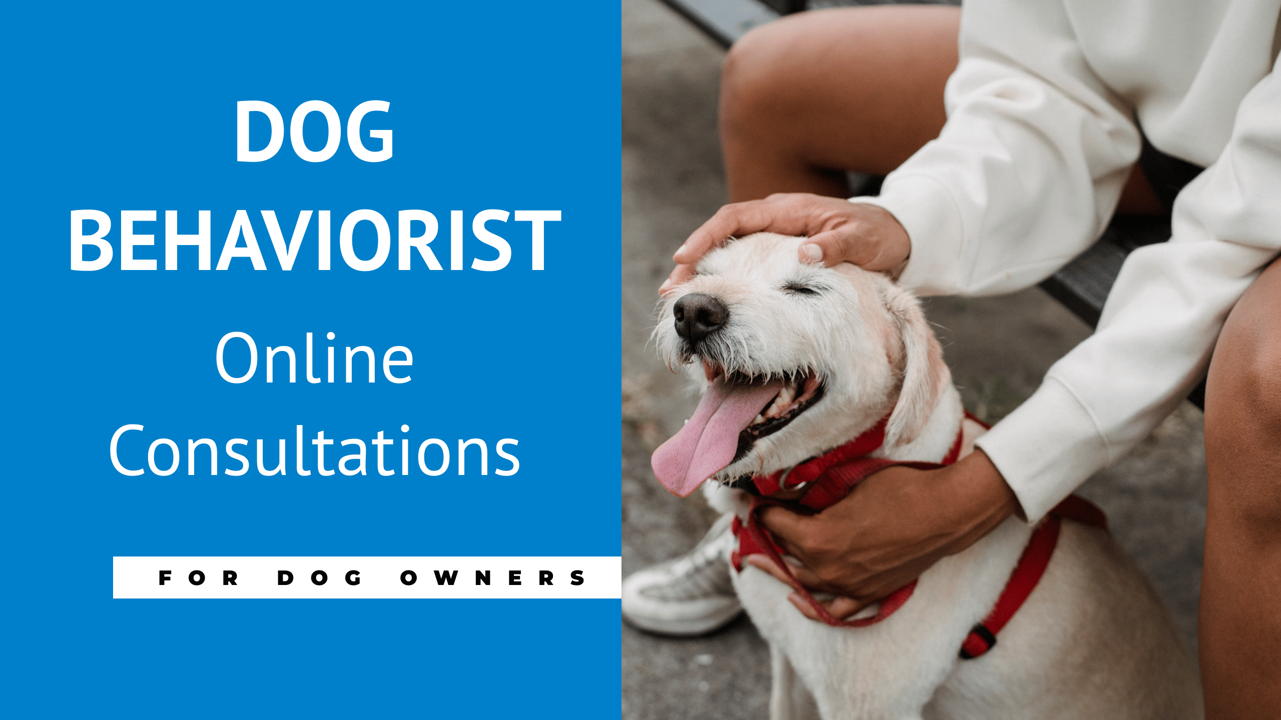 Dog Behaviourist London