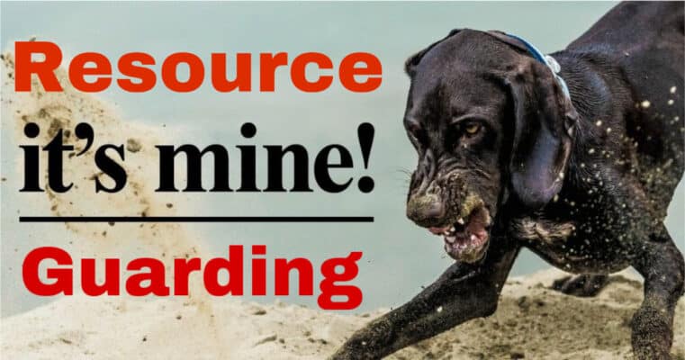 How to prevent and manage resource guarding