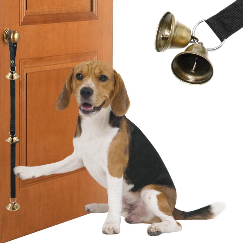 How to teach a dog to ring a bell to go outside to go potty