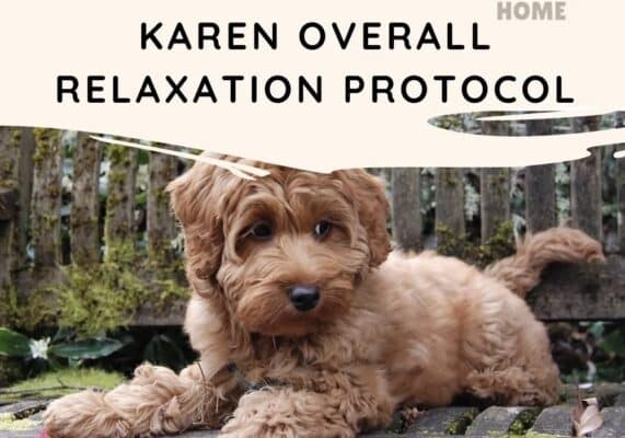 Relaxation protocol for dogs
