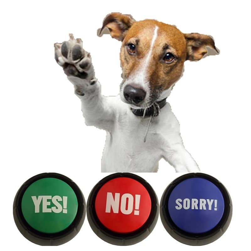 Stop-Saying-No-and-Start-Saying -Good-Dog