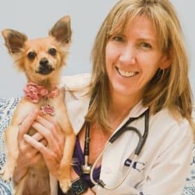 Veterinary Behaviorist Near Phoenix Arizona Dr. Kelly Moffat