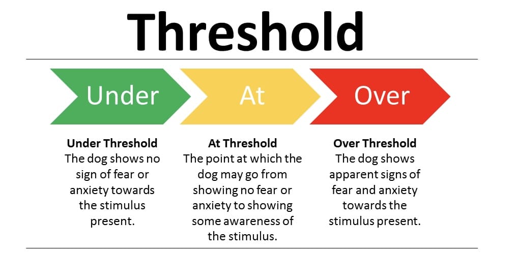 Canine Thresholds