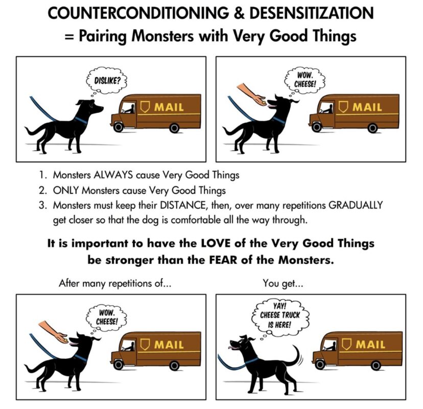 counterconditioinig desensitization dog training