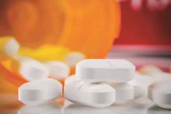 Gabapentin Dog Anxiety Aggression