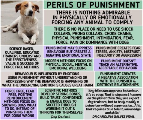 Never Punish Dog Aggression