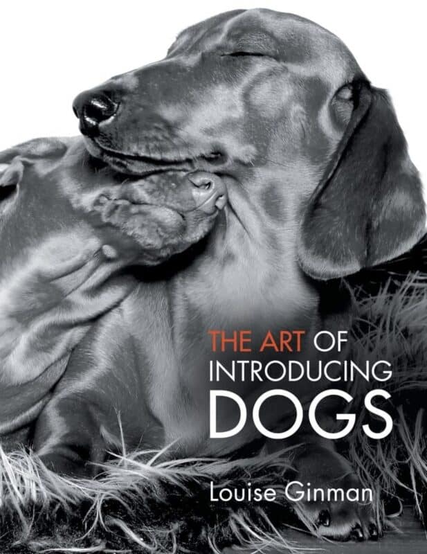 The Art of Introducing Dogs