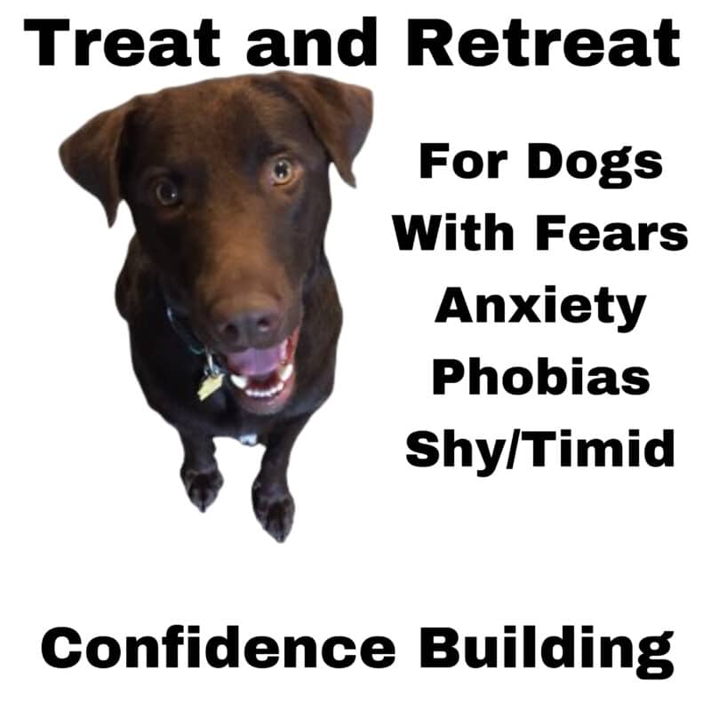 Treat and Retreat Dog Training