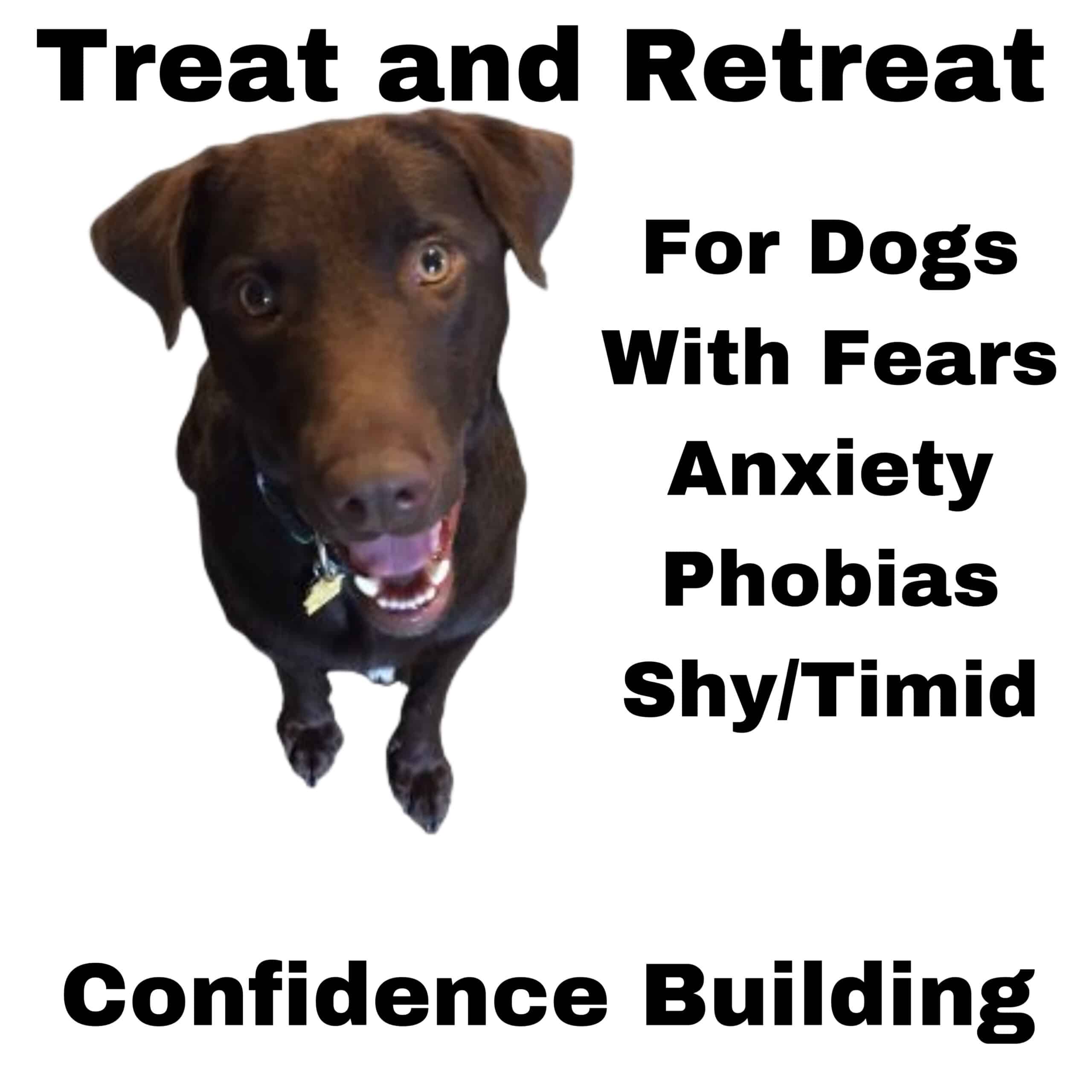 treat-and-retreat-dog-training-dog-behaviorist-near-me