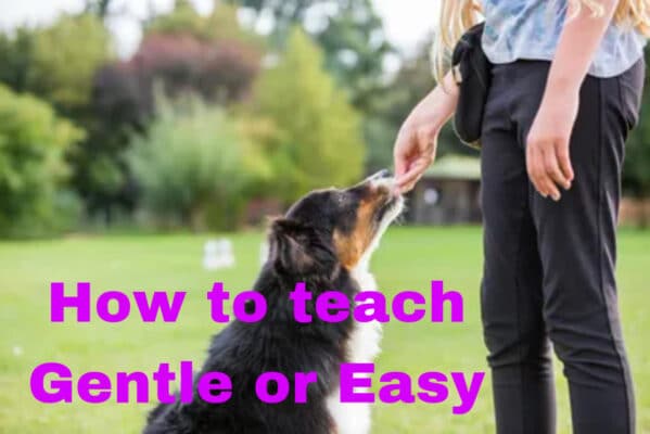 How to teach gentle or easy