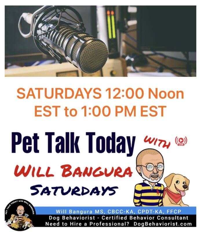Pet-Talk-Today-With-Will-Bangura, M.S., CBCC-KA, CPDT-KA, FFCP Dog Behaviorist