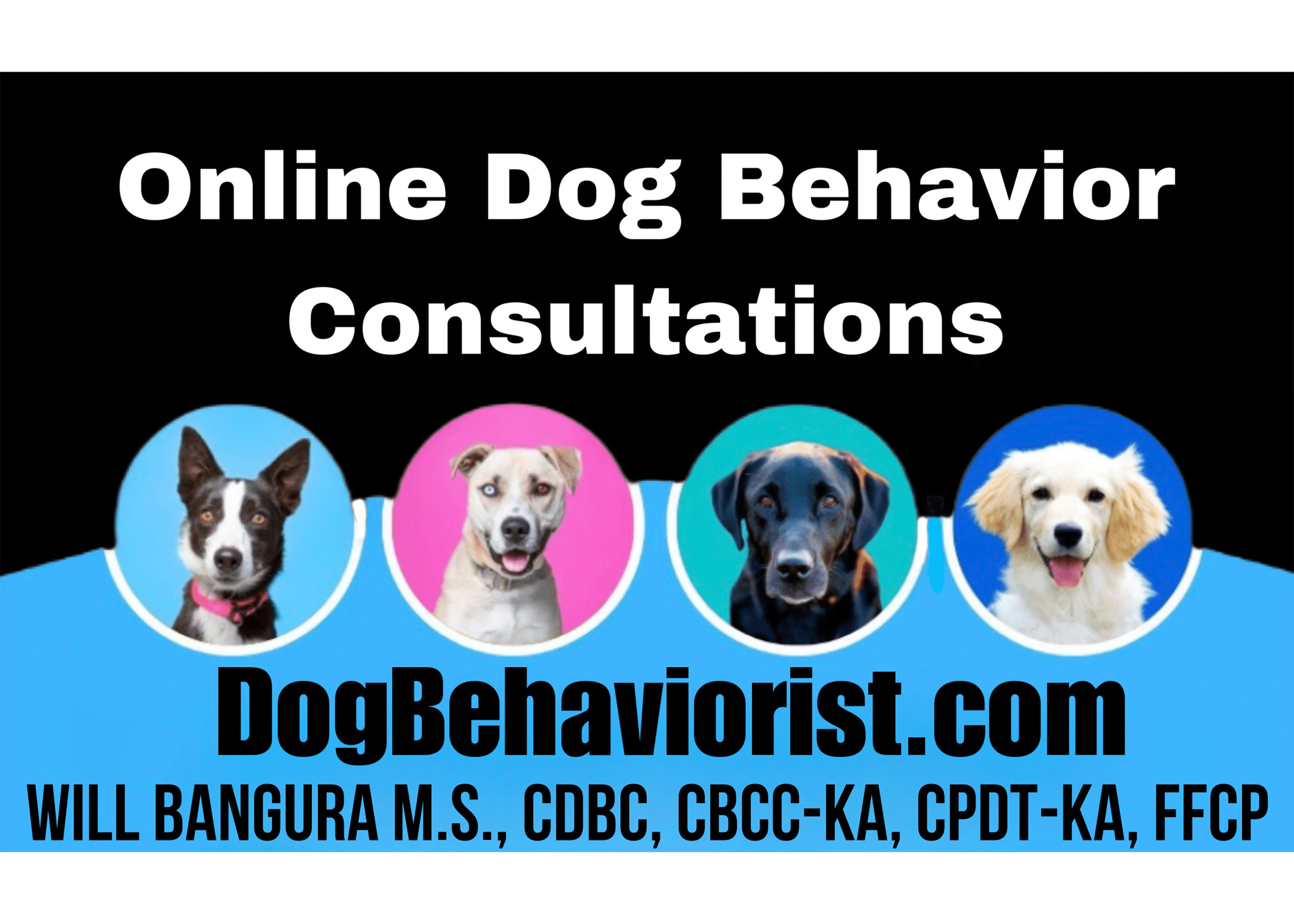 Dog-Behaviorist-Consutations
