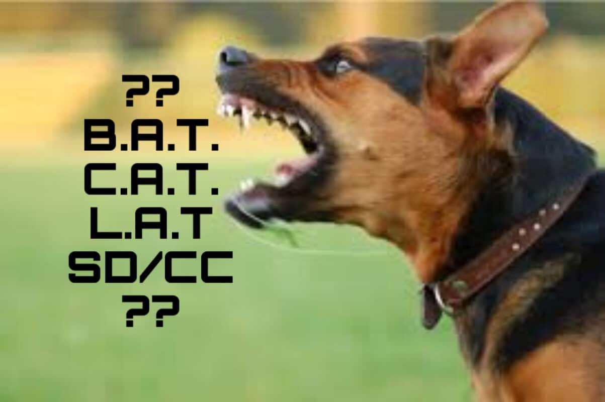 BAT LAT CAT-SD/CC