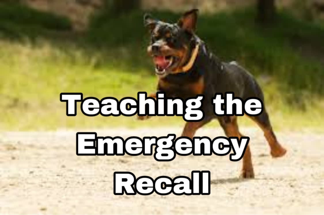 How to Teach the Emergency Recall