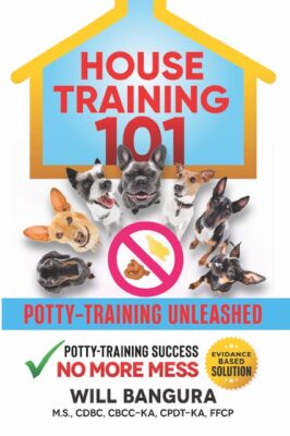 How to potty train a puppy or older dog