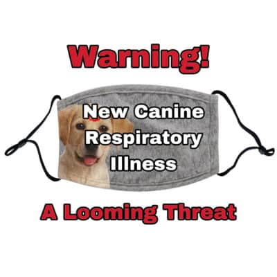 New Canine Respiratory Illness
