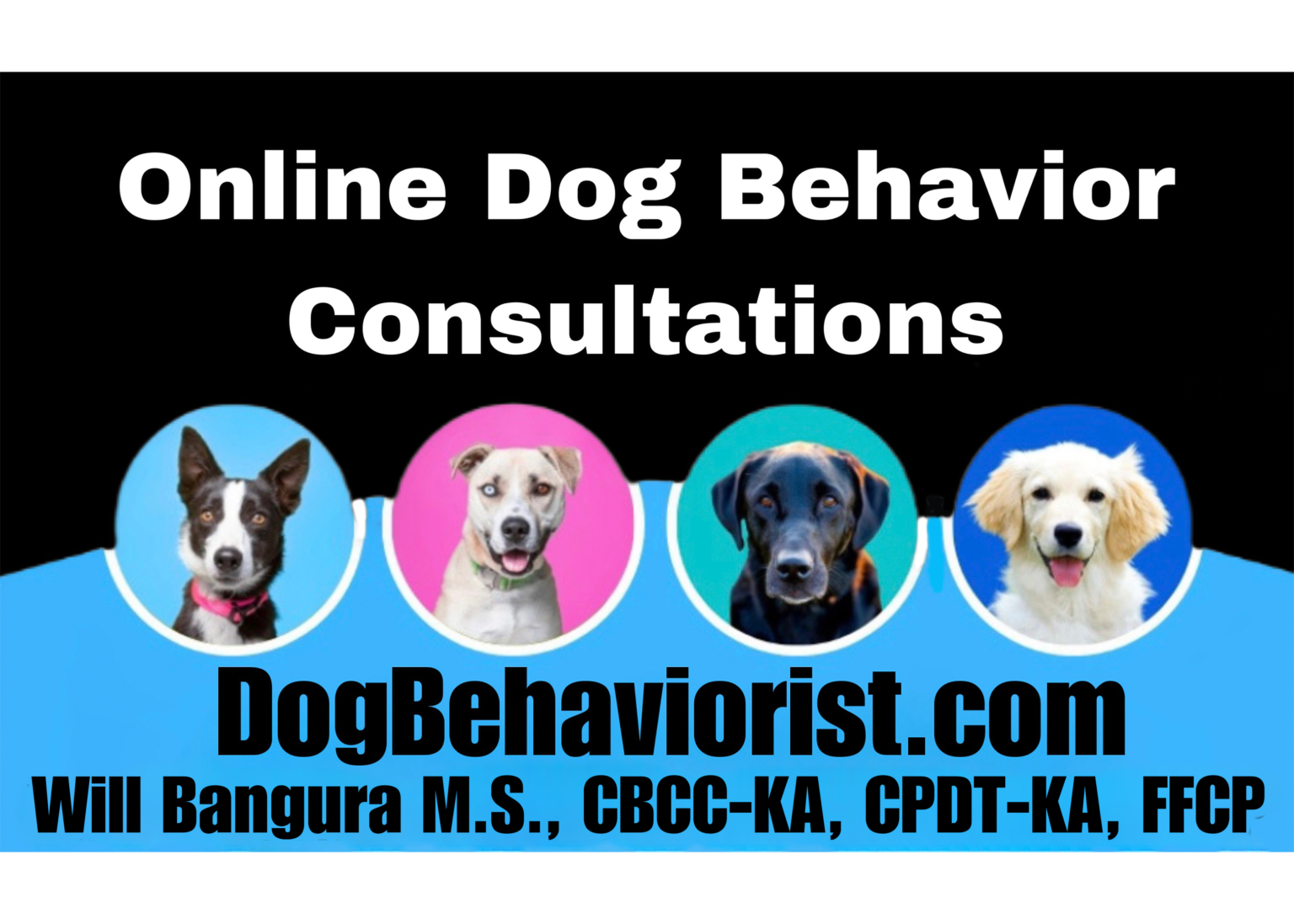 Dog Behaviorist Will Bangura, M.S., CBCC-KA, CPDT-KA, FFCP - Dog ...