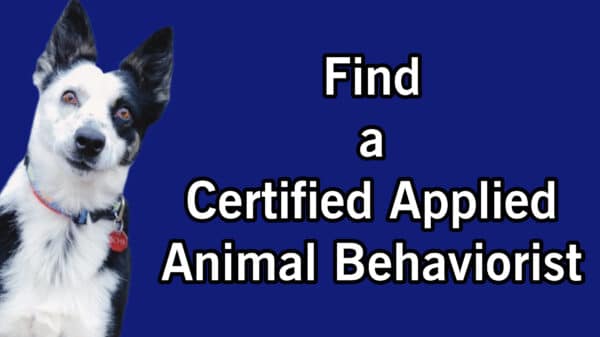 Certified-Applied-Animal-Behaviorist