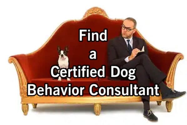 Certified-Dog-Behavior-Consultant