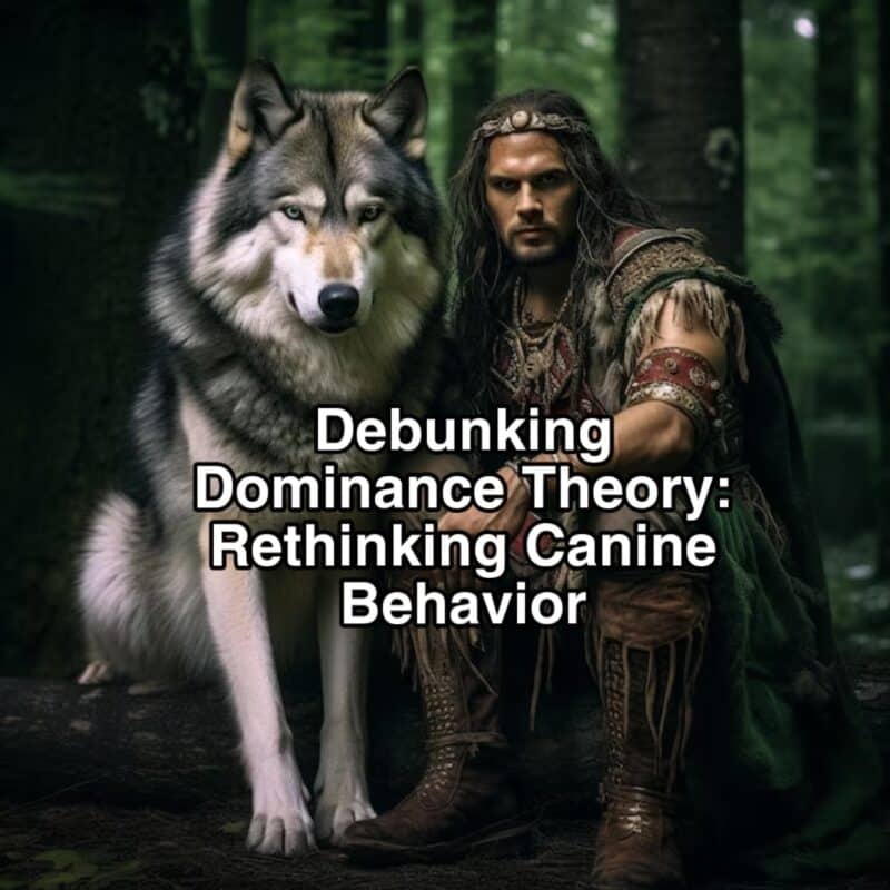 Rethinking Canine Behavior Beyond Dominance