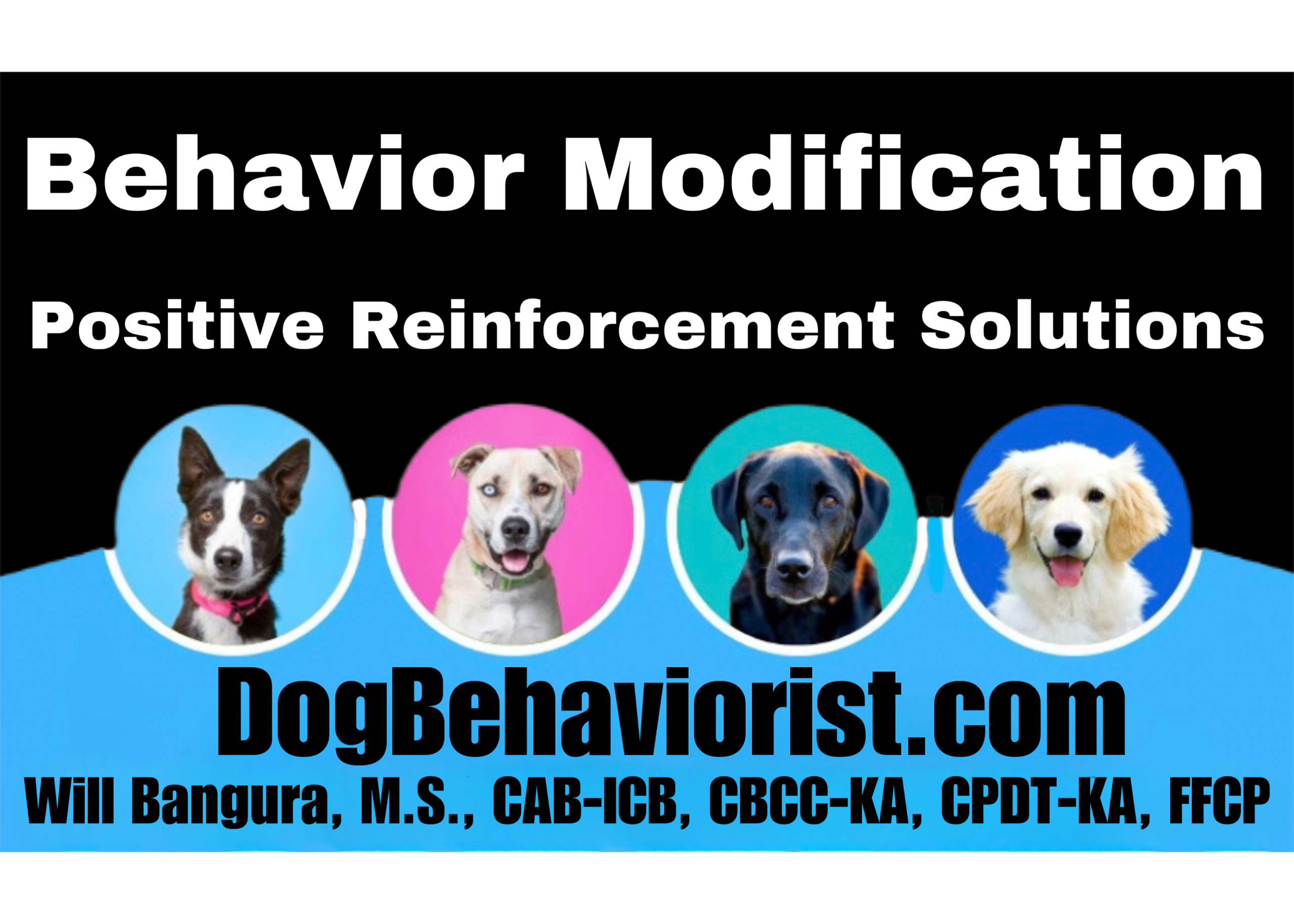 Dog Behaviourist in Auckland NZ - Expert in Positive Reinforcement and Behaviour Modification for Aggression, Anxiety, and Phobias.